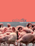 Catálogo Colorfix Cores & Tendências 2019