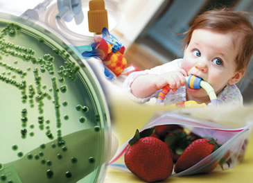 BACTFIX | Bactericida