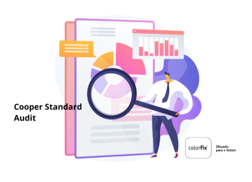 Cooper Standard Audit