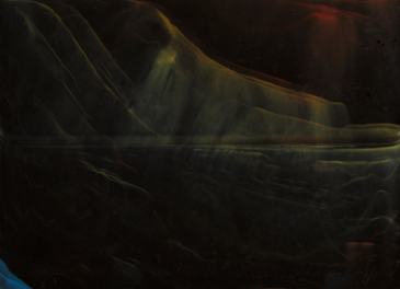 Tucano de Bico Preto